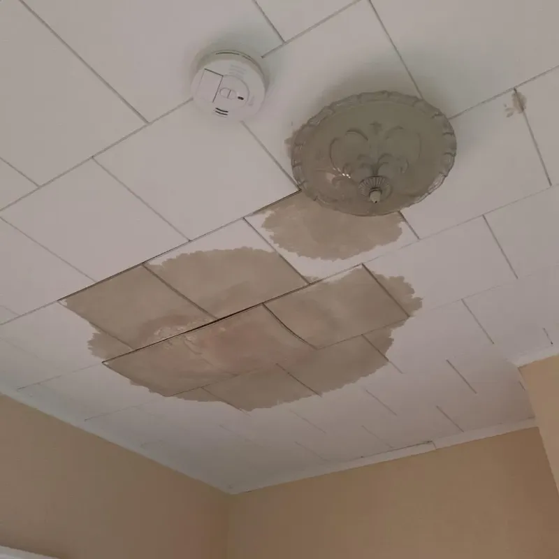 Ceiling Water Damage Repair in Mars, PA