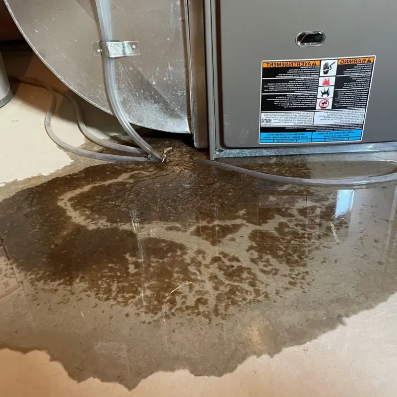Pipe Burst and Leak Restoration in Mars, PA