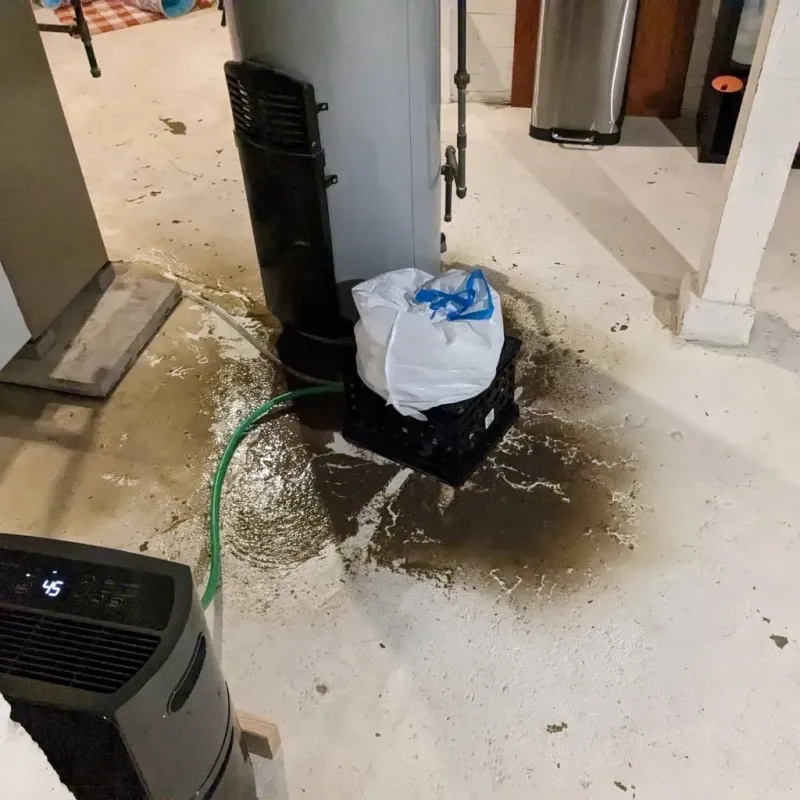 Sewage Backup Cleanup Service in Mars, PA